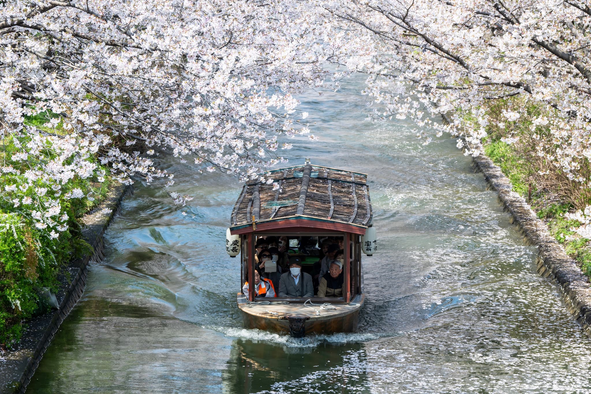 Fushimi Jikkoku Bune, Kyoto