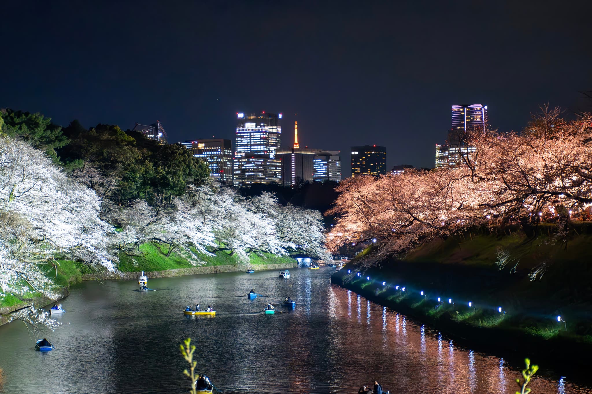Imperial Palace, Tokyo