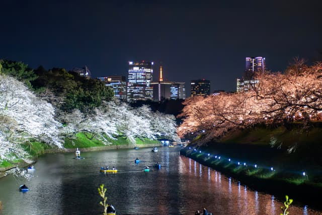 Imperial Palace, Tokyo