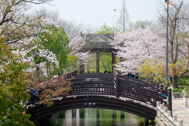 Songjiang, Shanghai