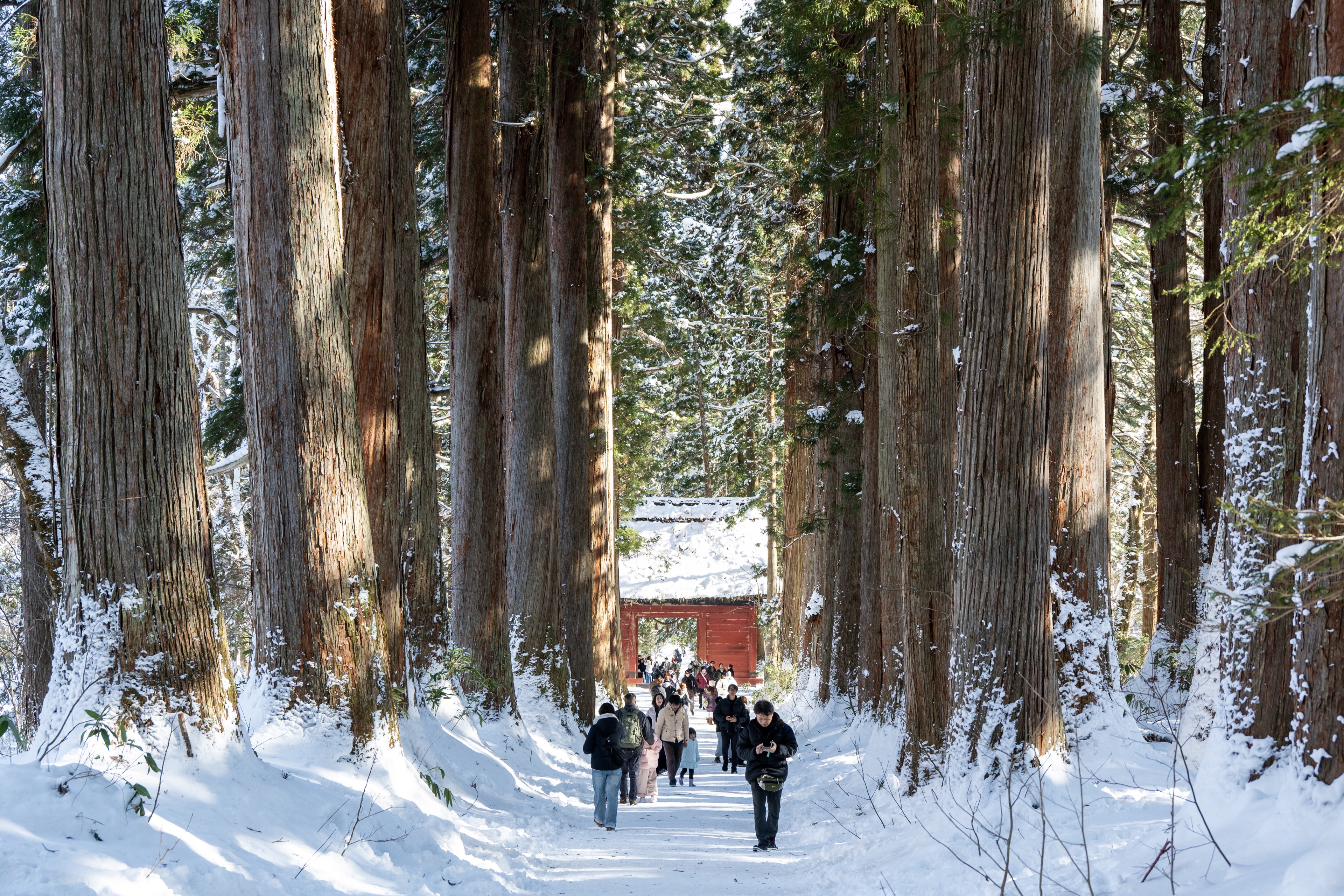 Togakushi, Nagano