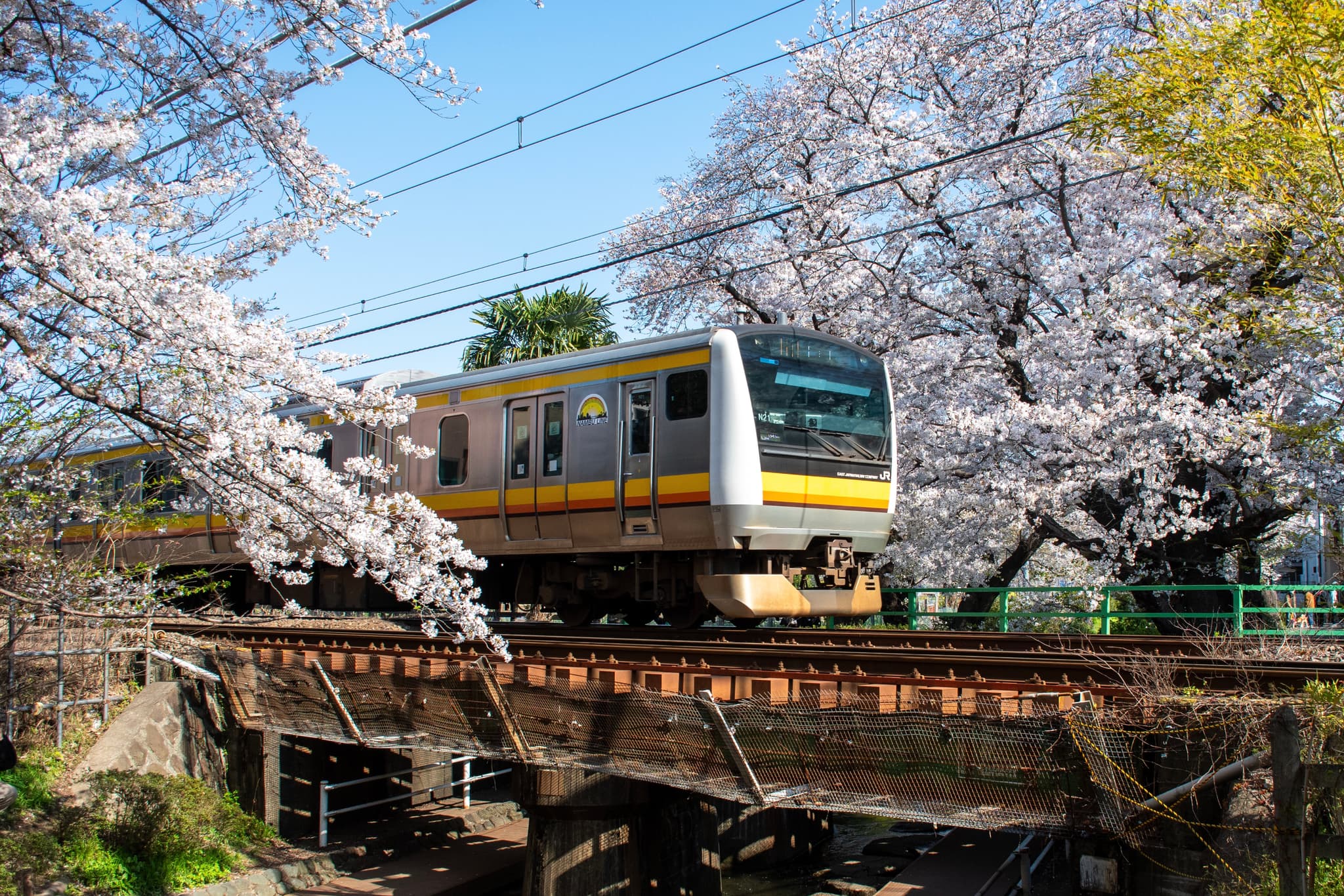 E233 Series, Nambu Line, Tokyo